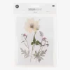 Clearance Rico Design Pressed Dried Flowers: White And Purple Mix