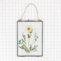 Clearance Rico Design Pressed Dried Flowers: White And Purple Mix