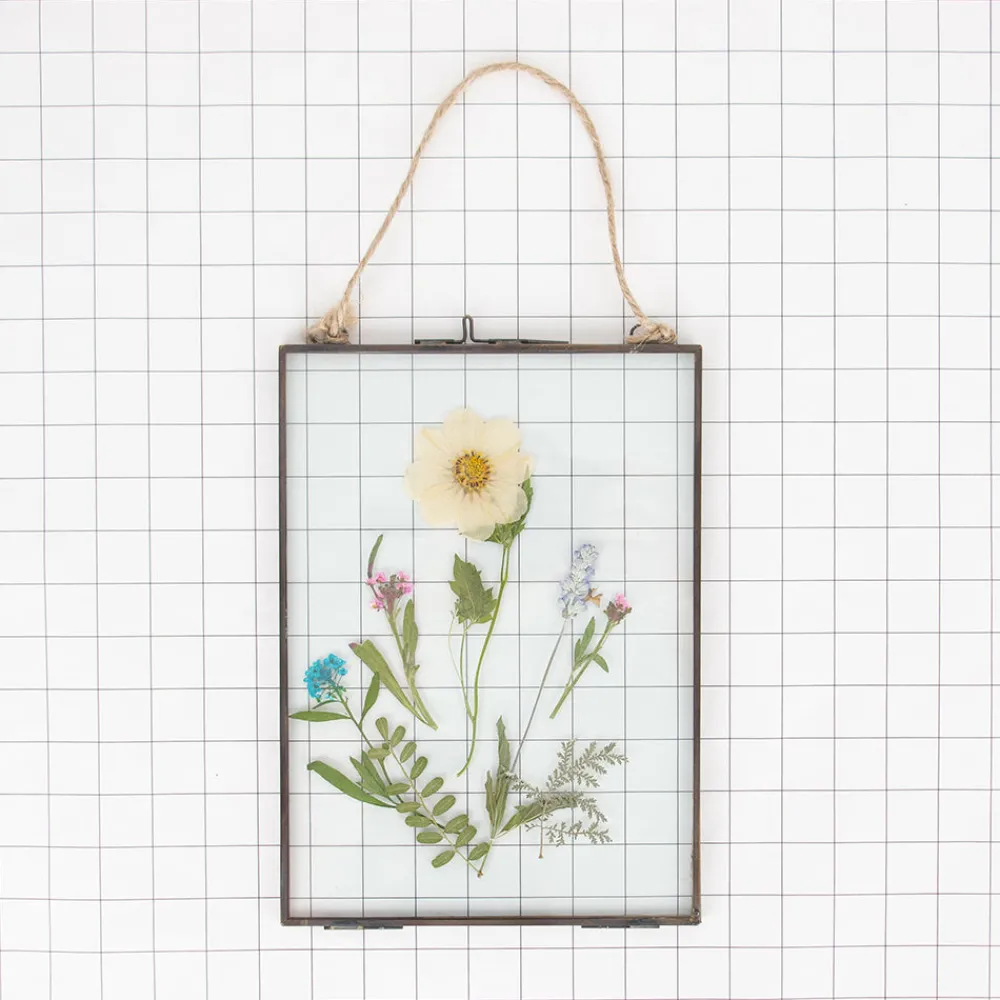 Clearance Rico Design Pressed Dried Flowers: White And Purple Mix