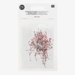 Discount Rico Design Red Gypsophila Dried Flowers