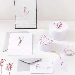 Discount Rico Design Red Gypsophila Dried Flowers