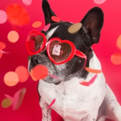 New Party Deco Red Heart Glasses